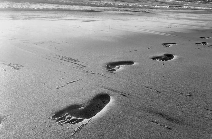 Follow our Second Act Adventure